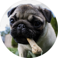 Custom Bubble - Bubble Merge Custom Item