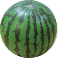 Custom Bubble - Bubble Merge Custom Item