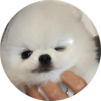 Custom Bubble - Bubble Merge Custom Item