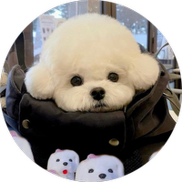 Custom Bubble - Bubble Merge Custom Item