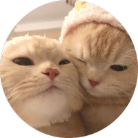 Custom Bubble - Bubble Merge Custom Item